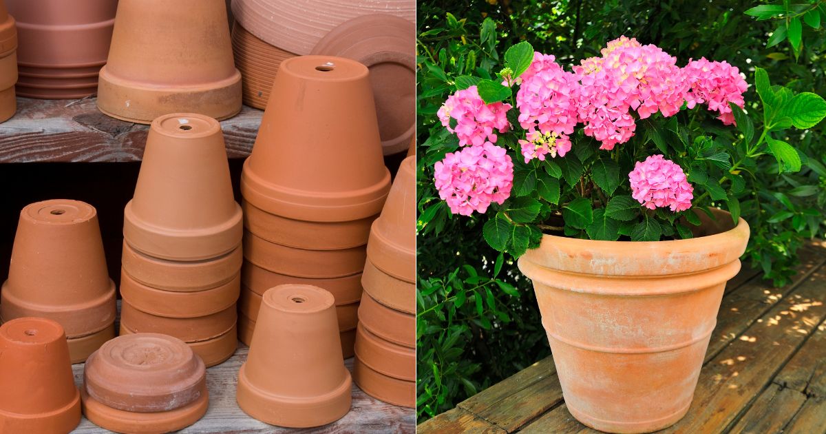 10 Best Terracotta Pots In 2024