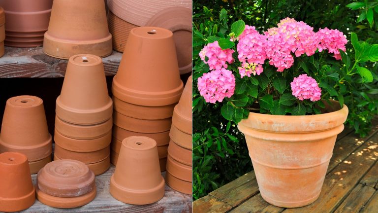 best terracotta planters