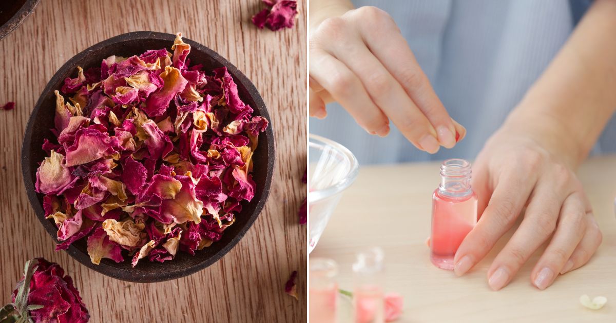 11 Genius Ways To Use Rose Petals You Have To Try