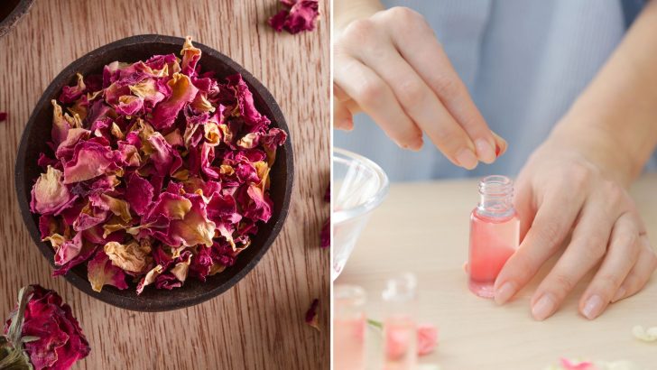 11 Genius Ways To Use Rose Petals You Have To Try