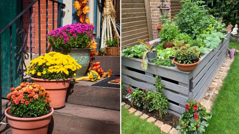 fall garden ideas