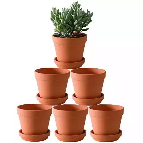 Yishang Terracotta Pots