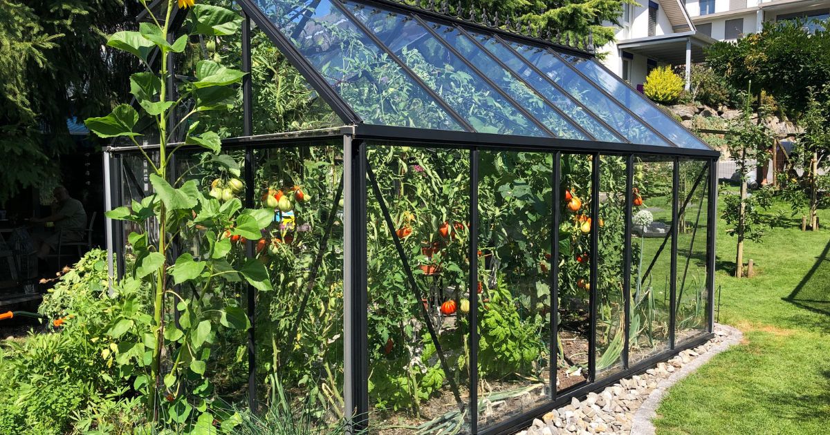 5 Best Greenhouses In 2023 FB  