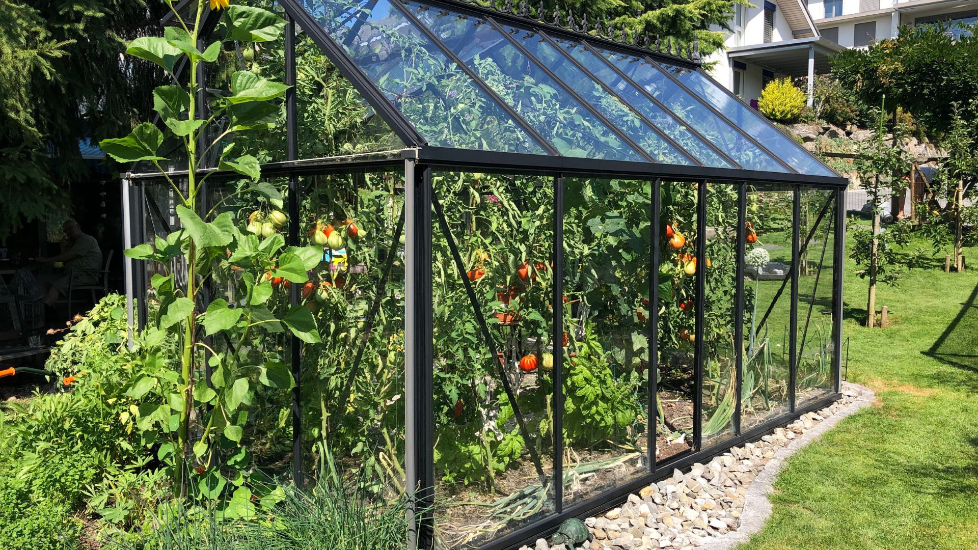 best greenhouses