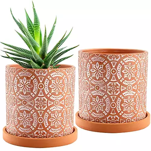 Jucoan Terracotta Pots
