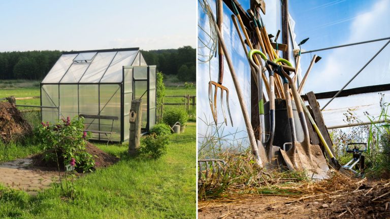 7 Helpful Tips For The Greenhouse Beginner