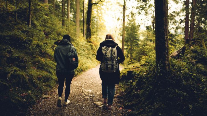 A Walk In The Woods May Improve Your Mental Health