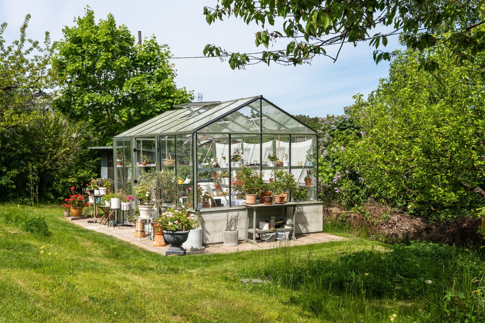 Beautiful greenhouse glass house in the garden yard near the villa