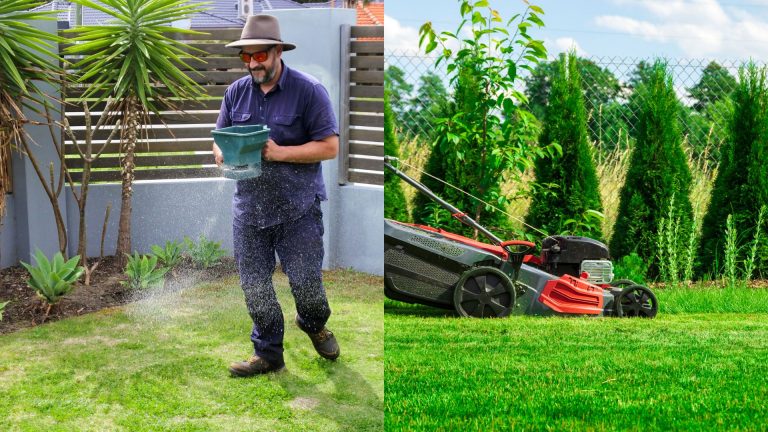man taking care of the lawn