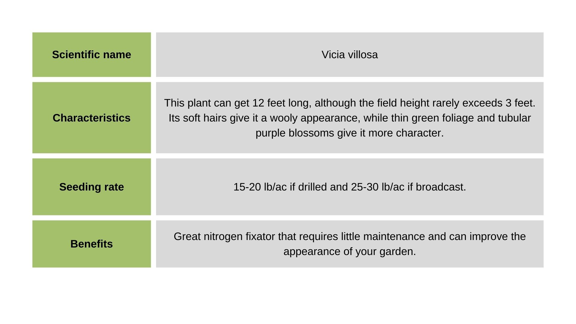Hairy Vetch info table
