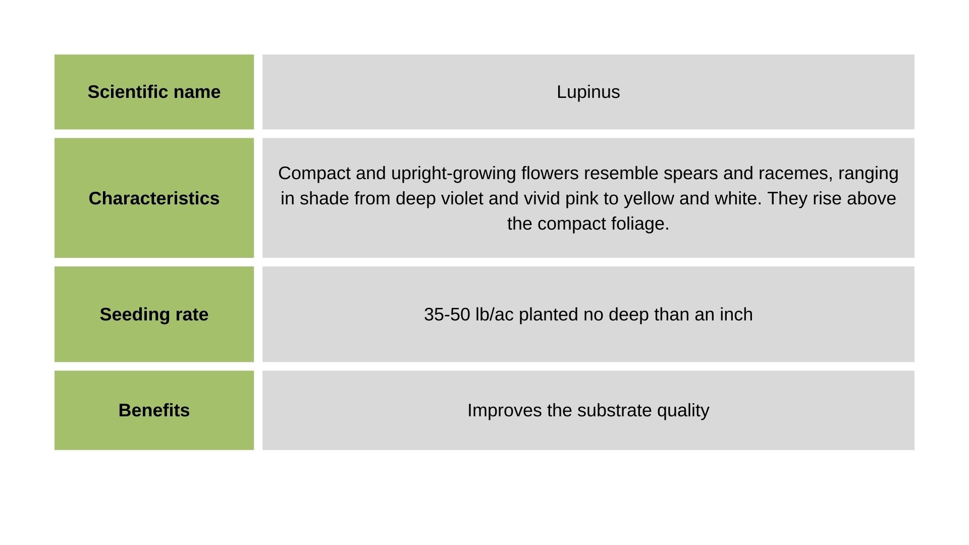 Lupine info table