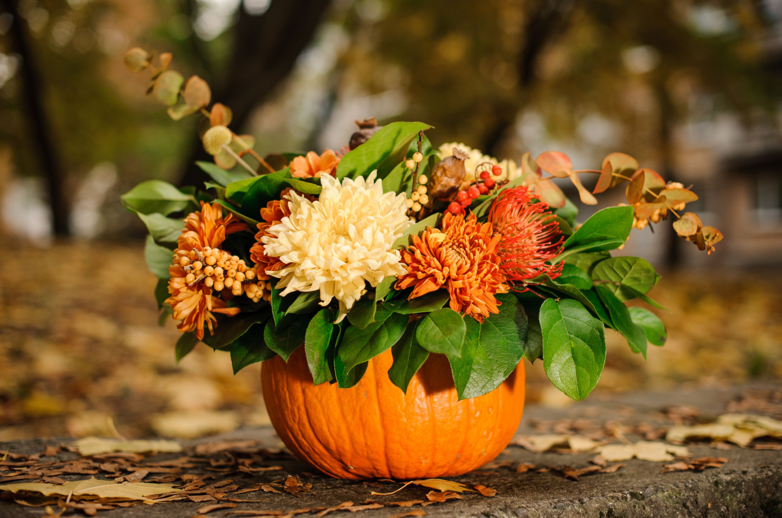 Orange pumpkin with a lovely autumn flowers