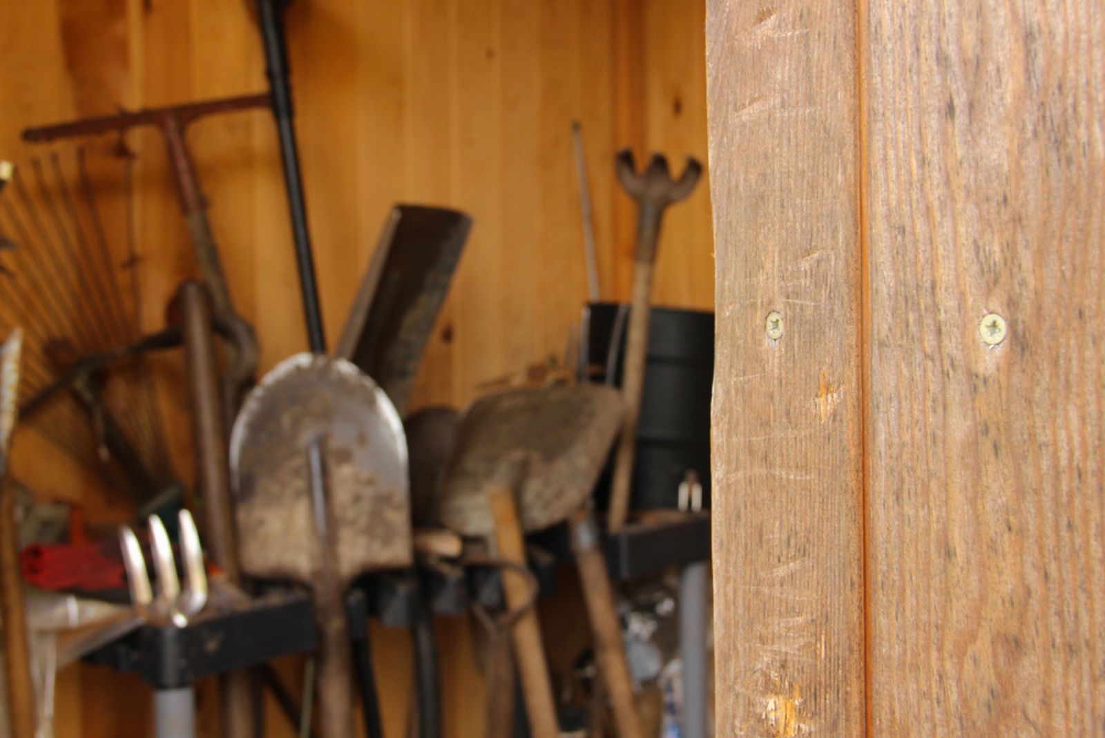 Shed with old gardening tools