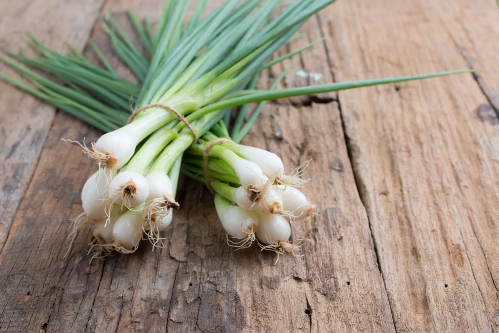 Spring Onions