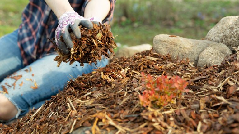 Leaf Mulch