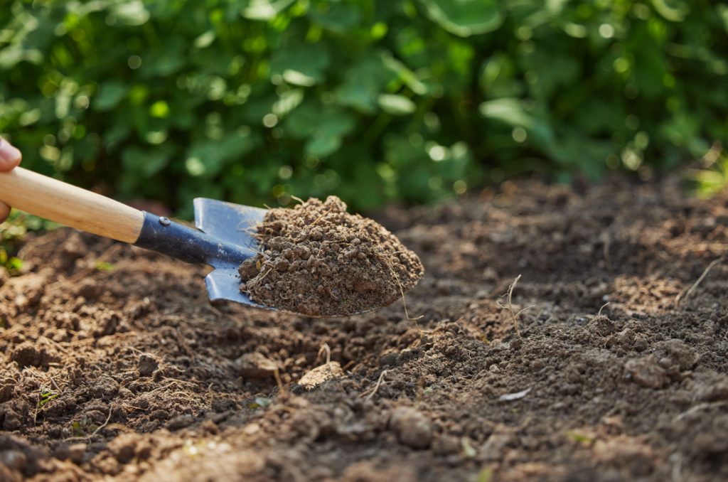 8 Ways To Add Nitrogen To Your Soil + Busting 3 Myths