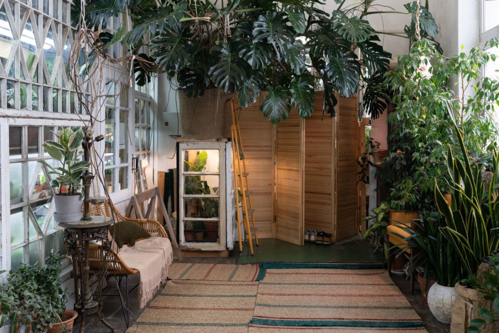 an indoor garden