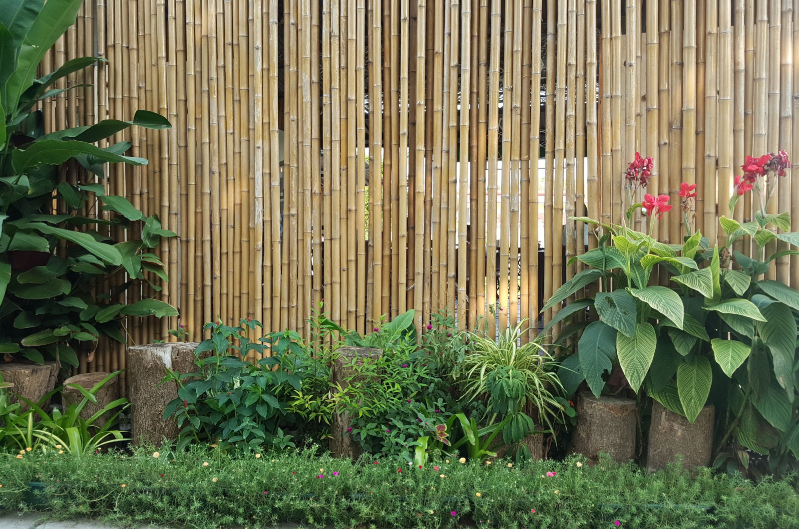 bamboo fence in the garden