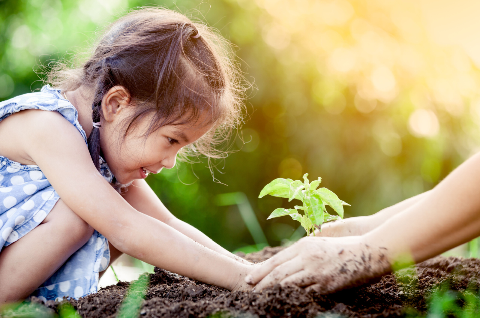 child planting in garden