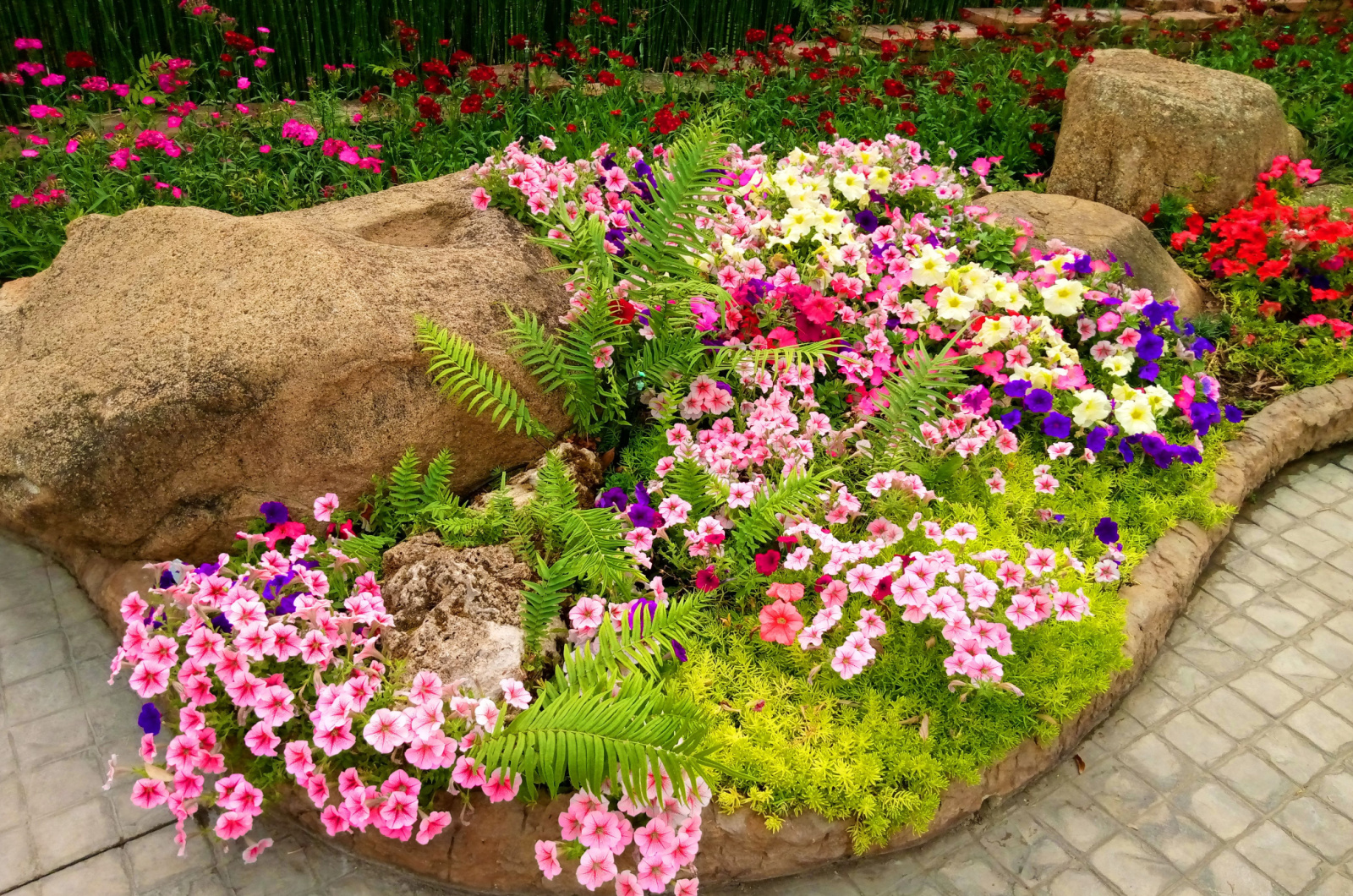 different flowers in flower bed
