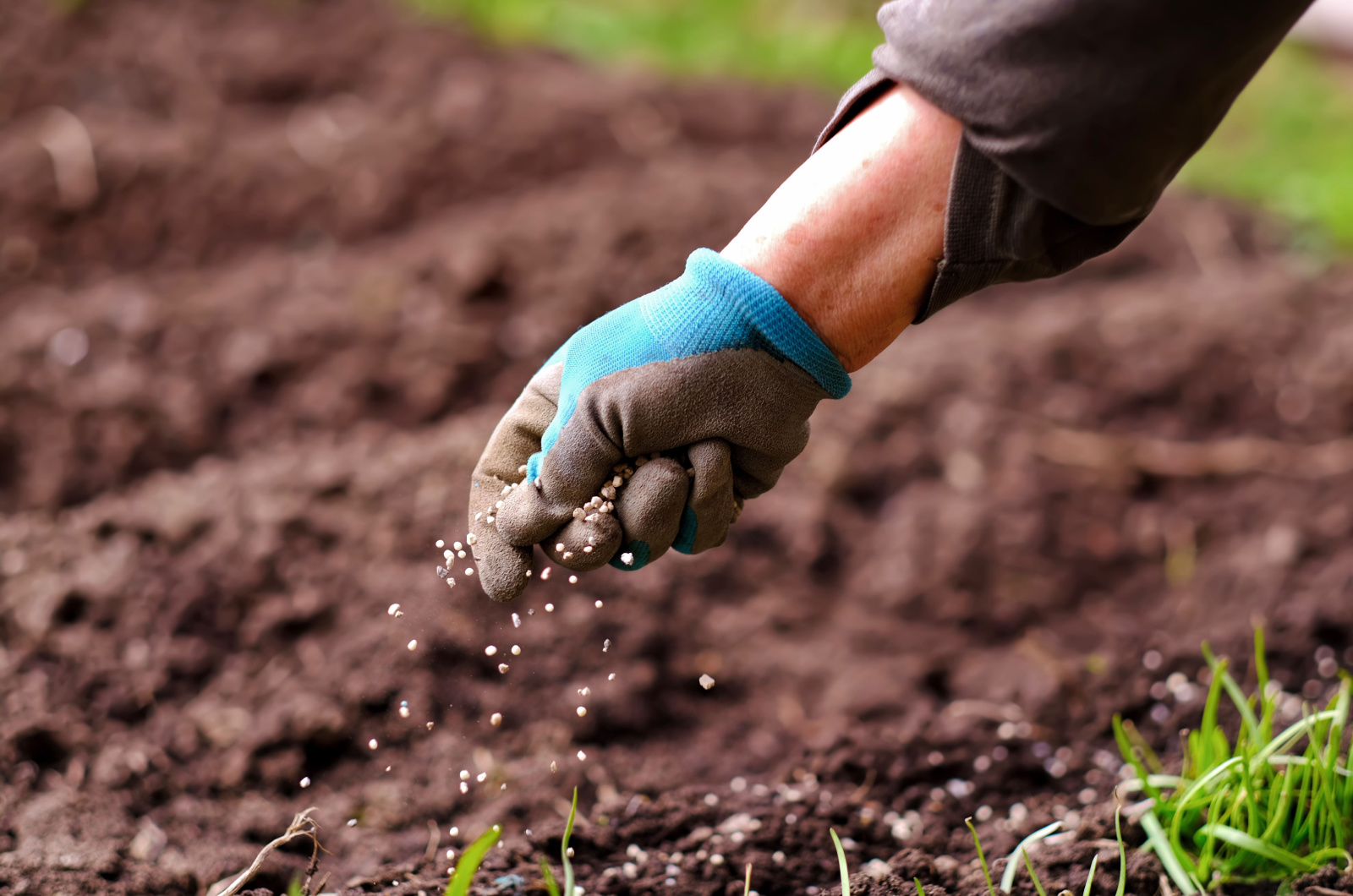 fertilizing the ground