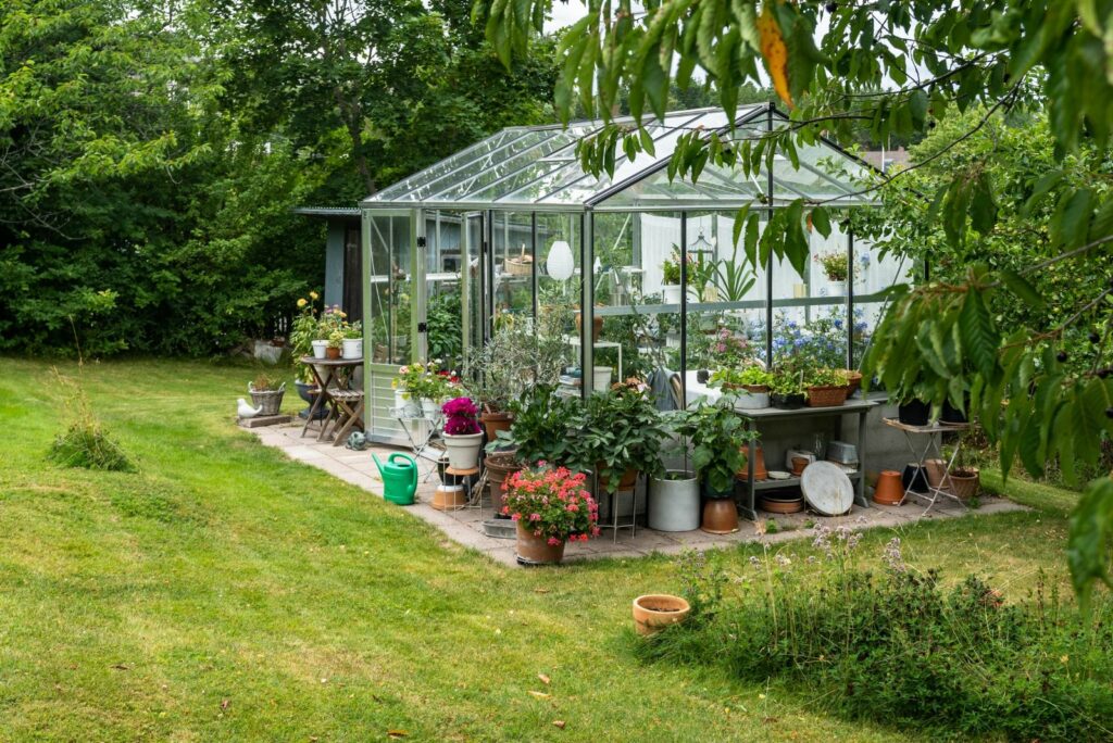 flowers around the greenhouse