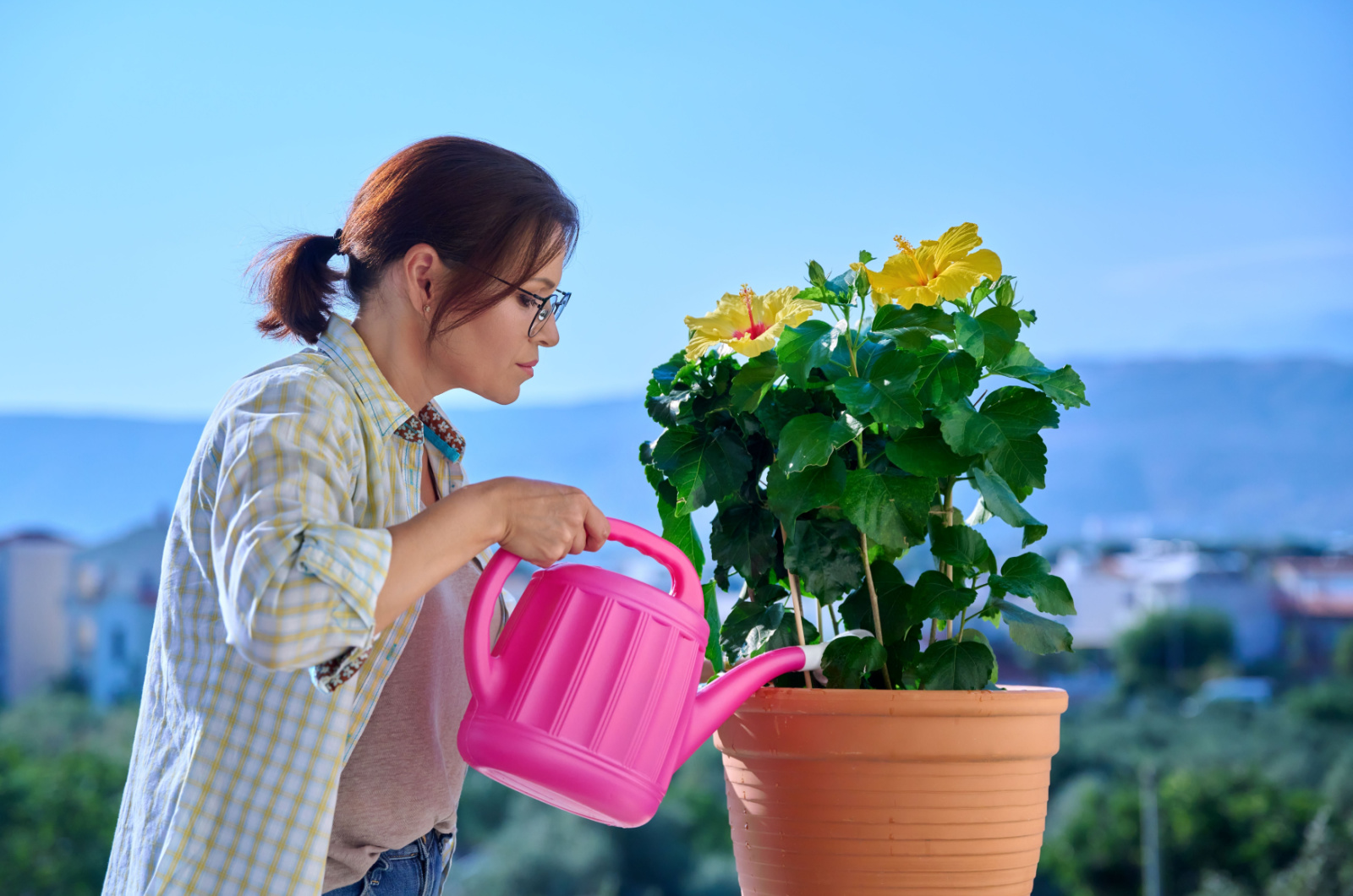 girl watering hibiscus