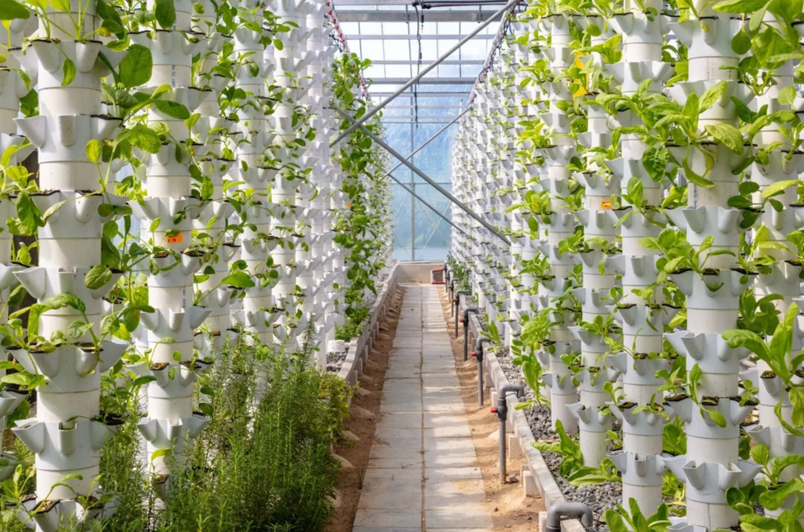 hydroponics based production method farm