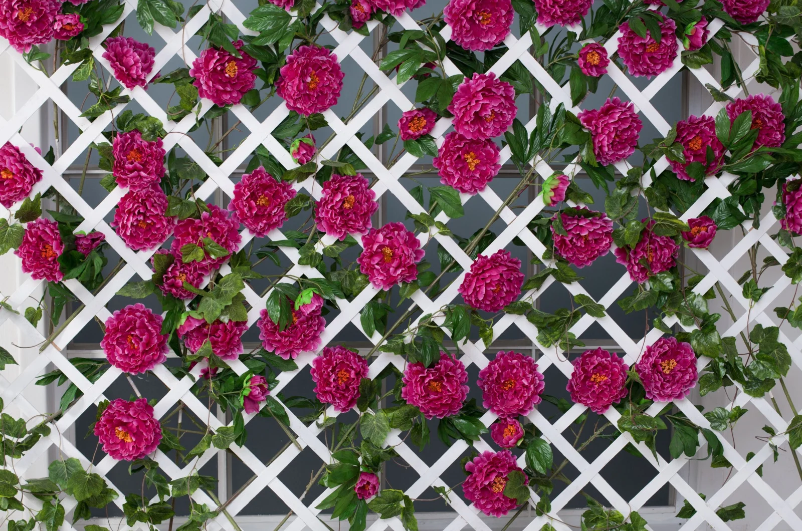 lattice fence with climbing flowers