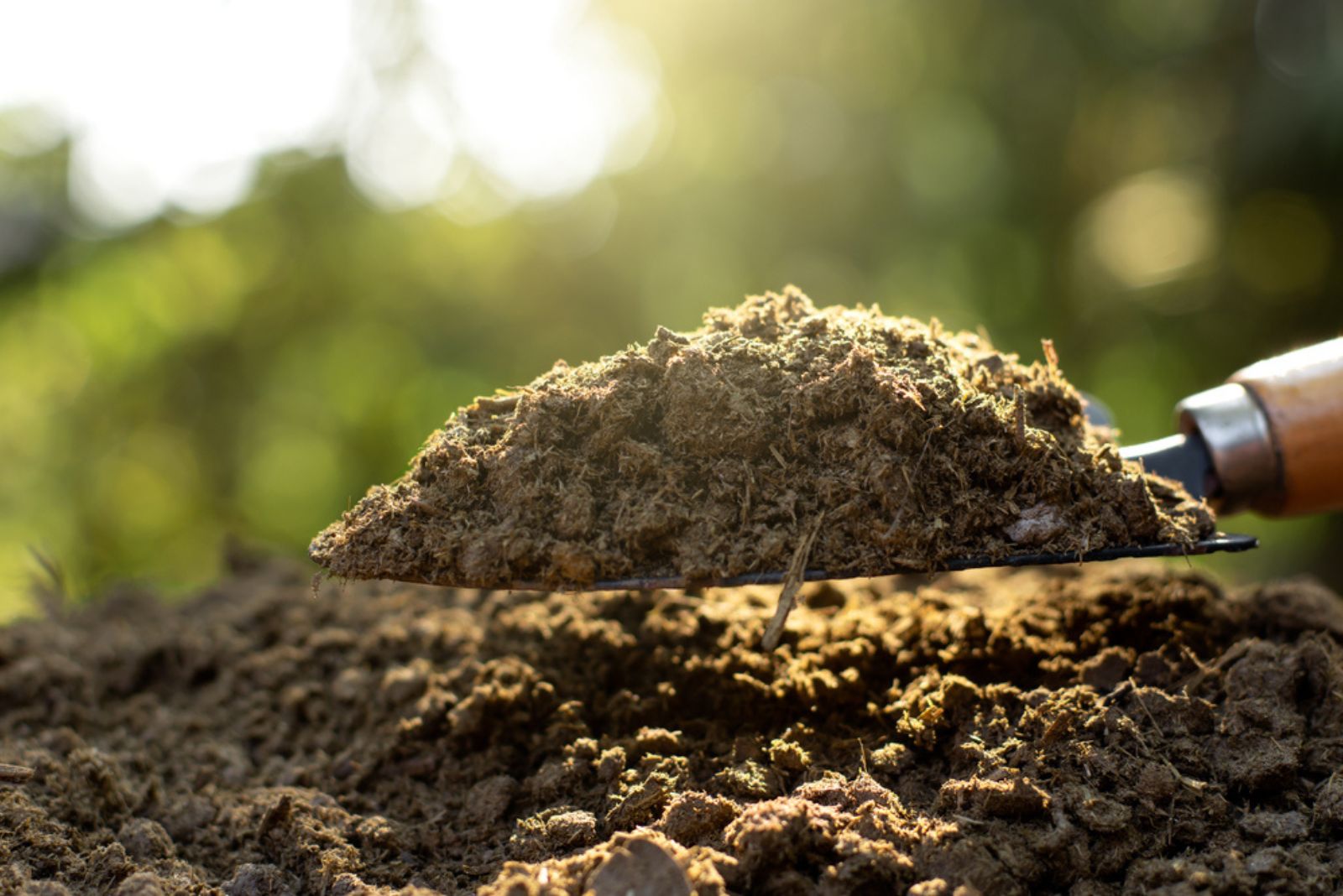 manure for garden