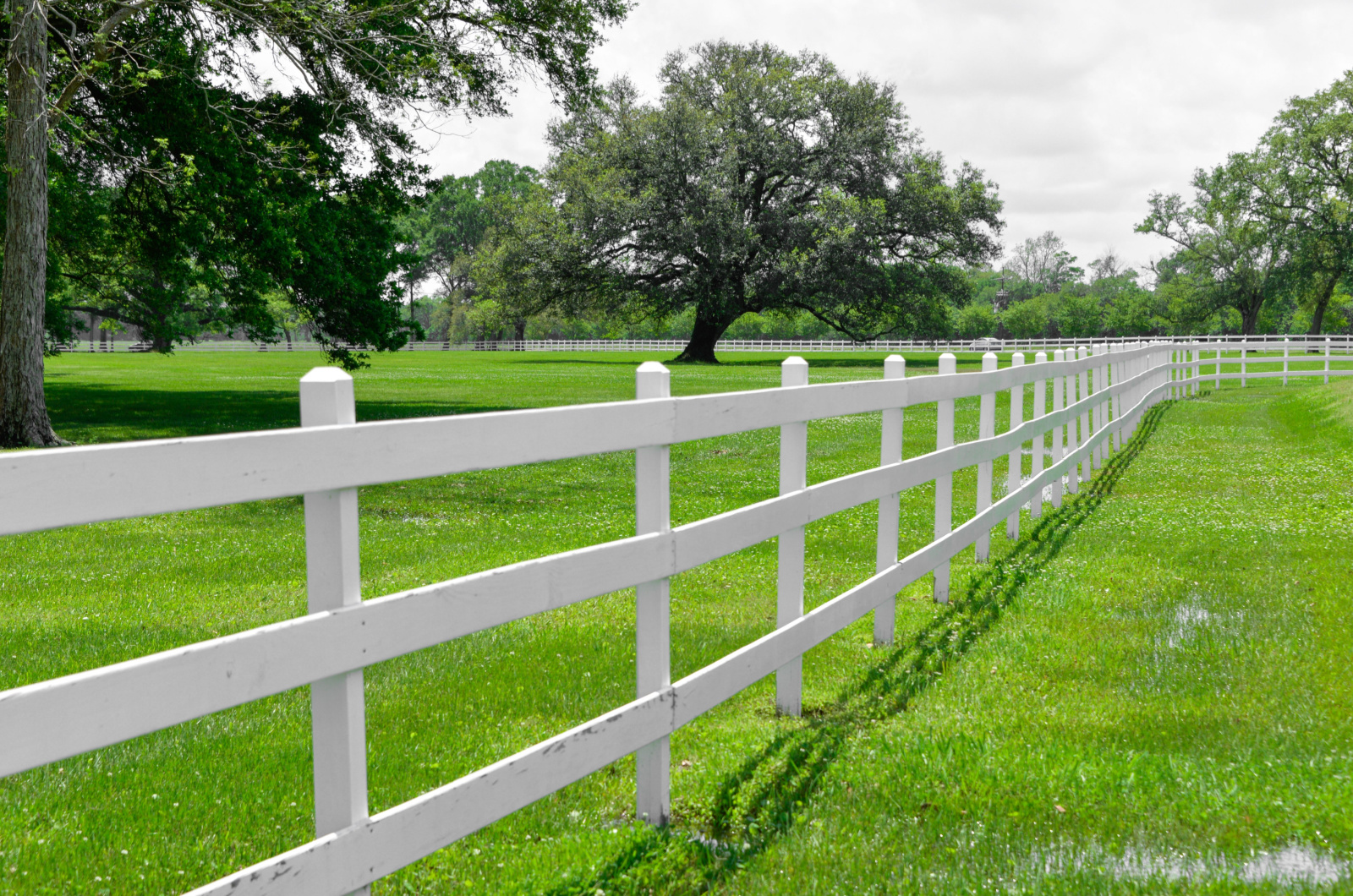 white post and rail fence