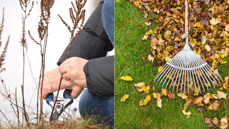 10 Jobs To Do In October For A Thriving Garden