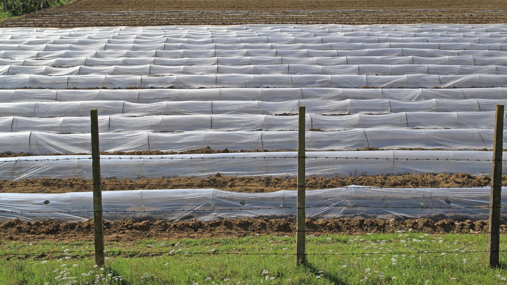 10 Steps For Installing Floating Row Covers To Prolong Your Growing Season
