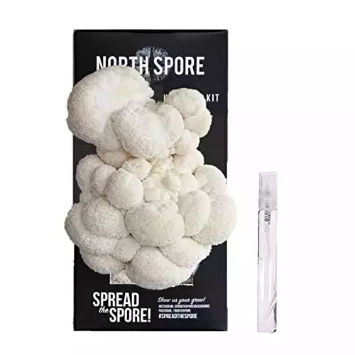 North Spore Organic Lion's Mane Mushroom Spray & Grow Kit