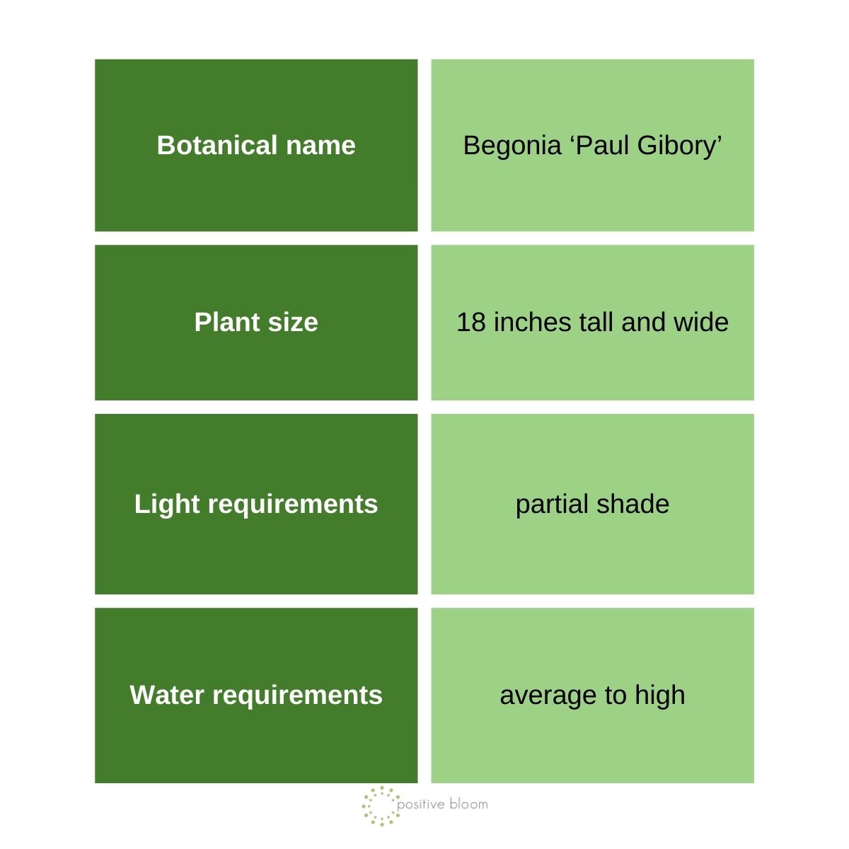 Begonia ‘Paul Gibory’