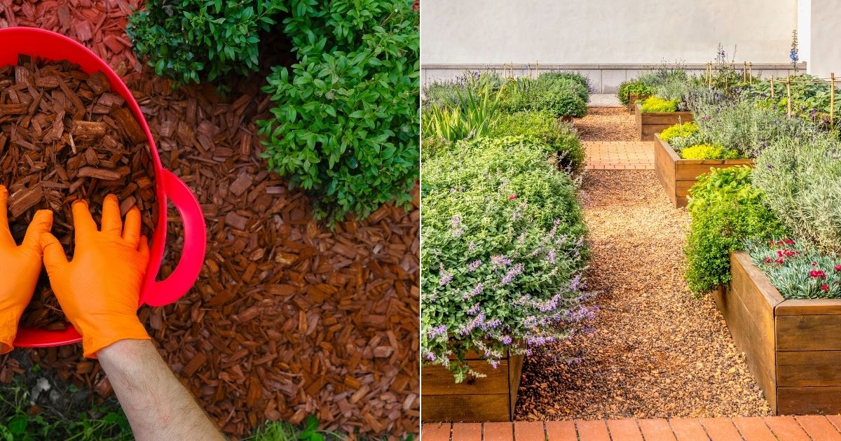 It’s The Perfect Time To Get Wood Chips For Your Yard