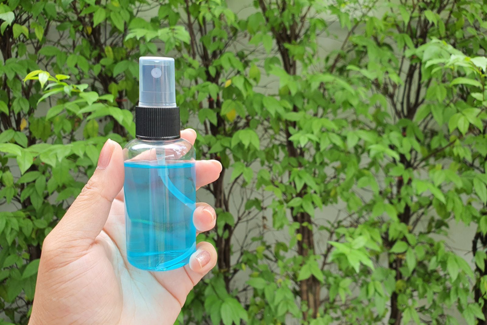 a gardener holding a chemical in spray for plant