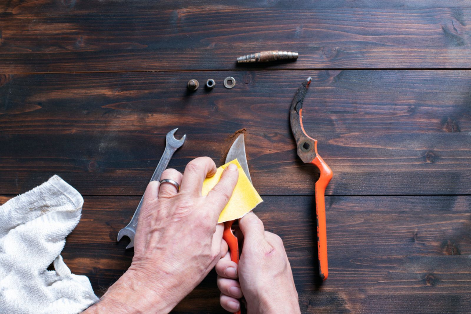 gardener cleaning tools