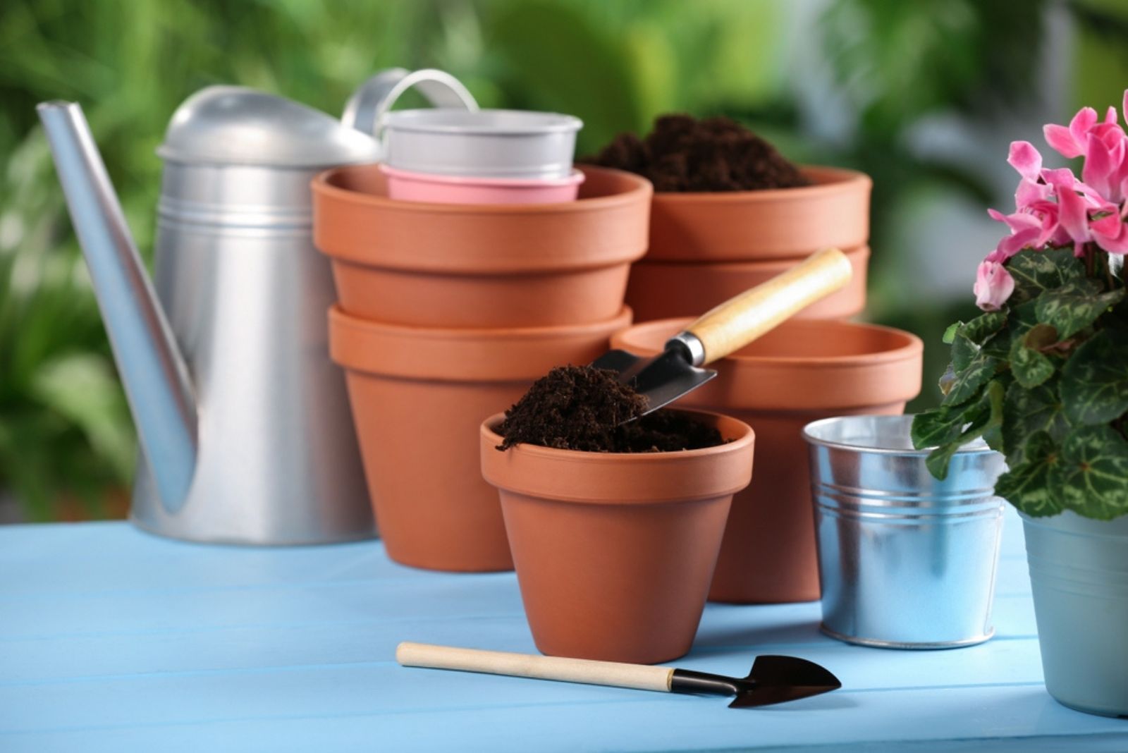 gardening tool and soil for Cyclamen