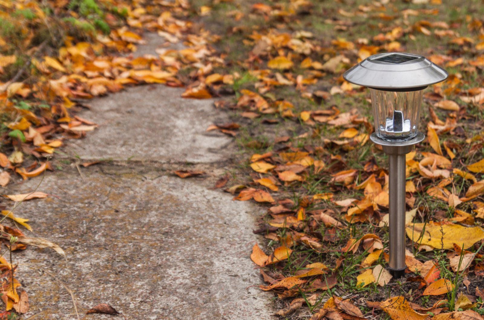 leaves in yard with lamp