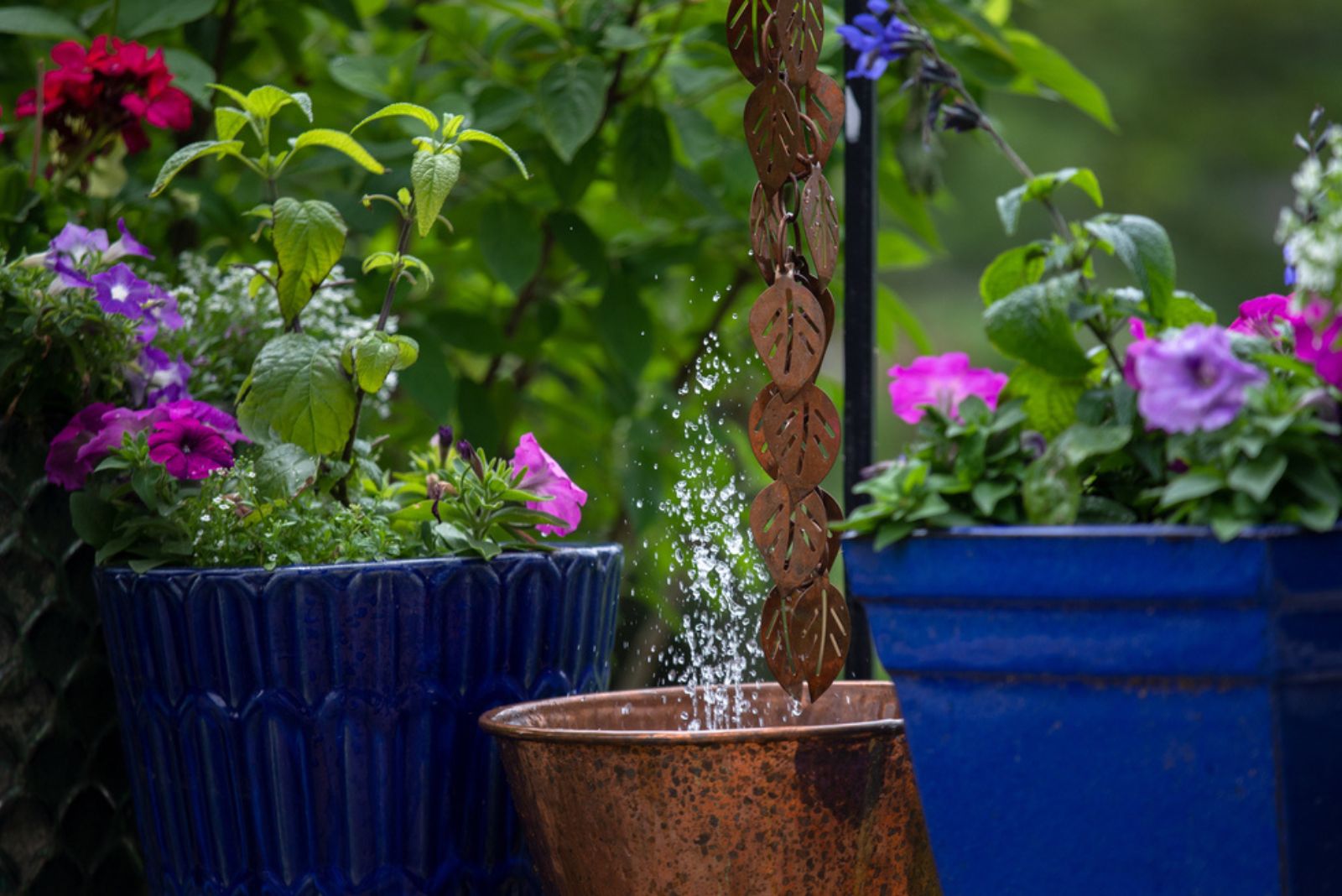 rain chain and plants in pots