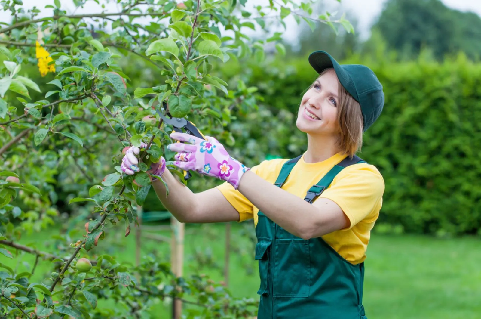 smiling woman pruning apple tree