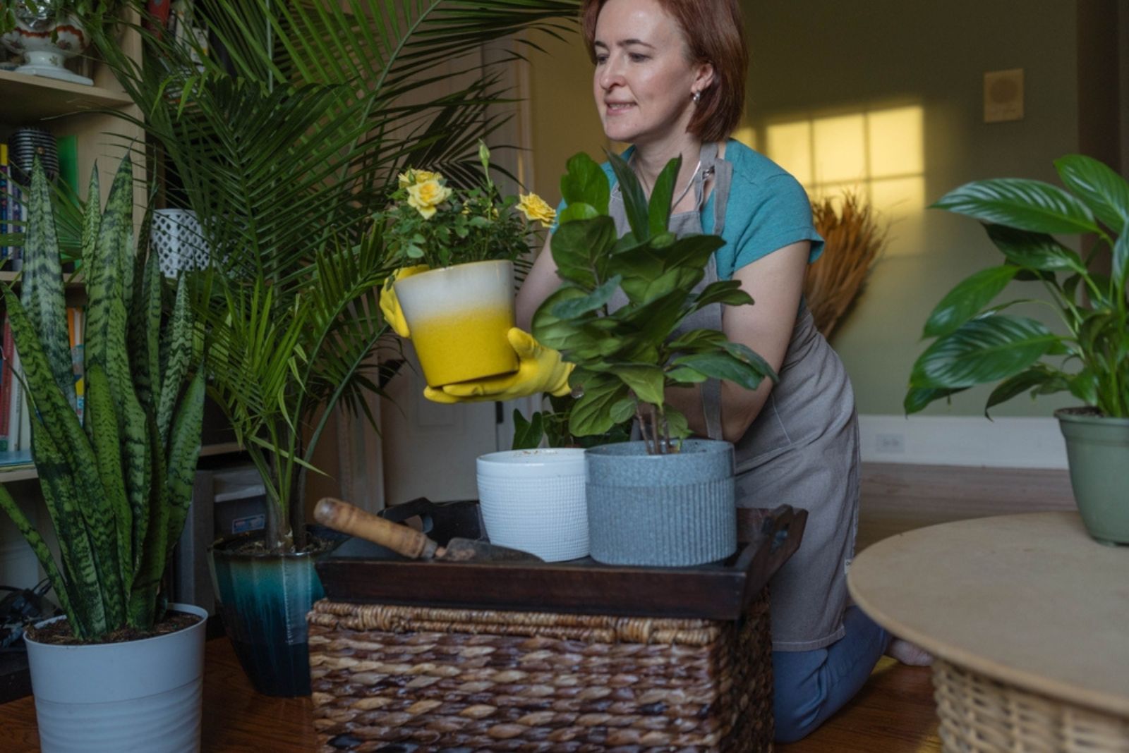 woman putting rose indoor