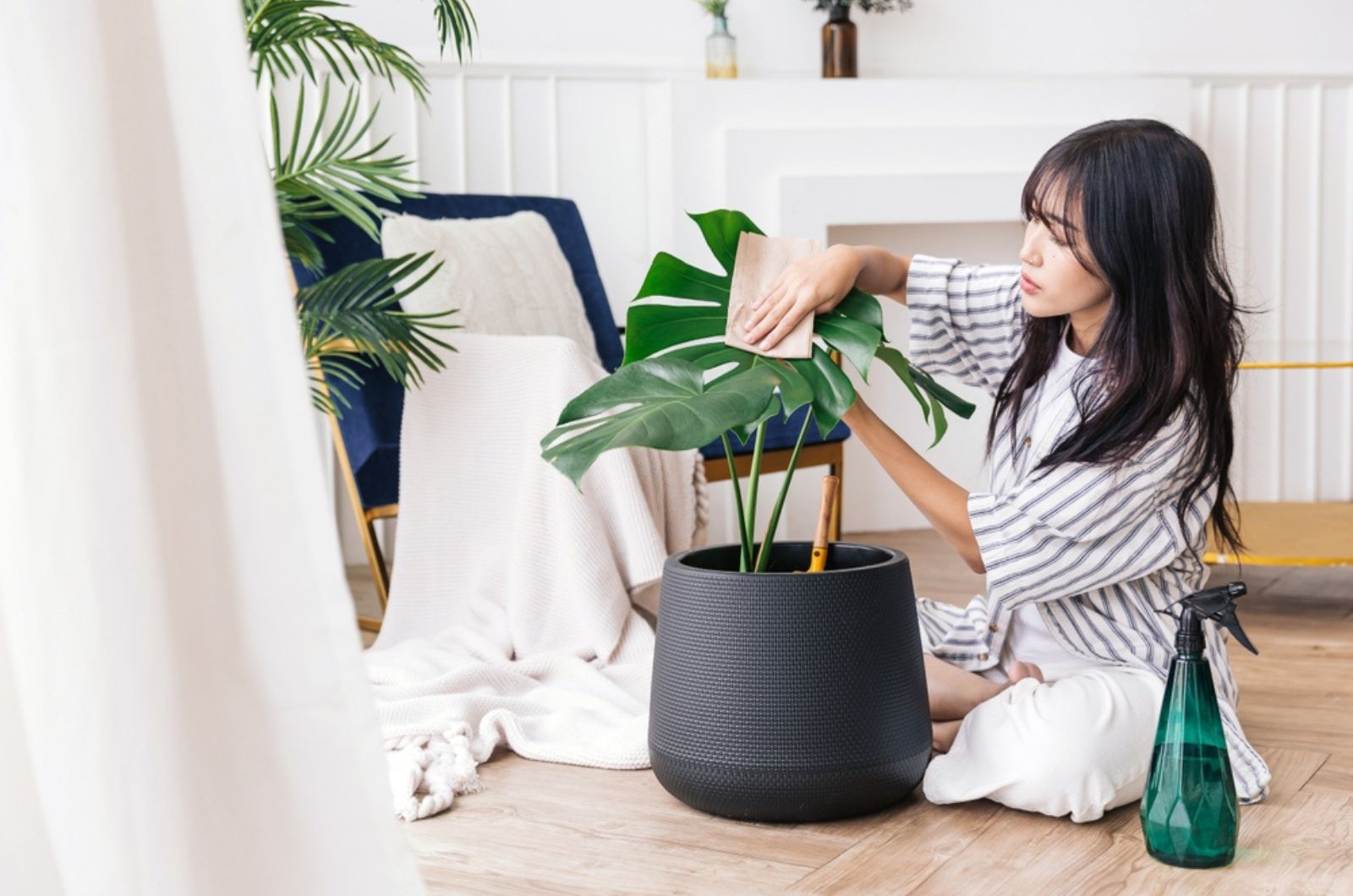 young woman cleaning plant