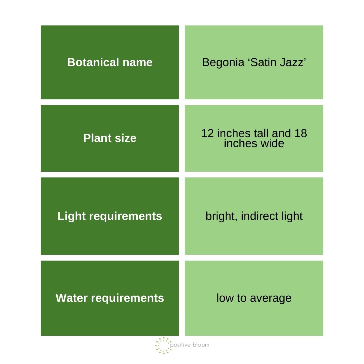 ‘Satin Jazz’