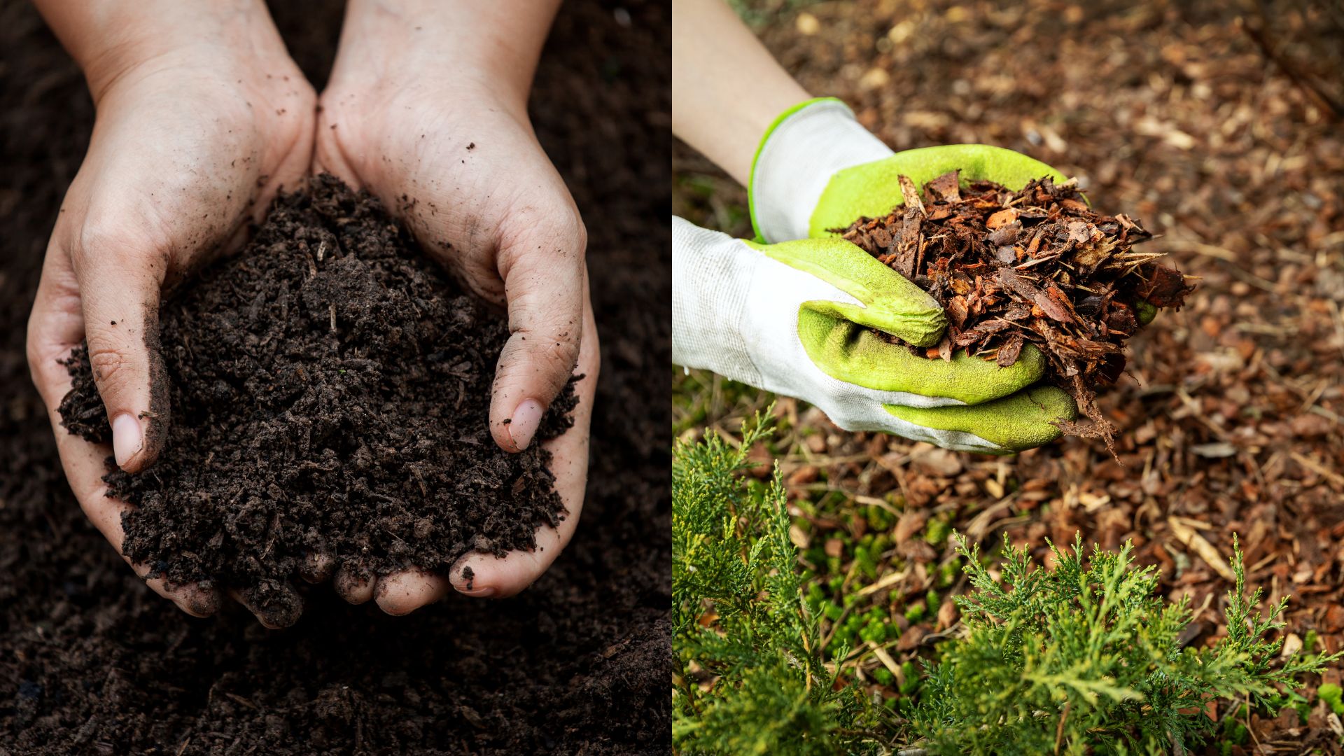 10 Simple Steps To Feed Your Soil In Fall