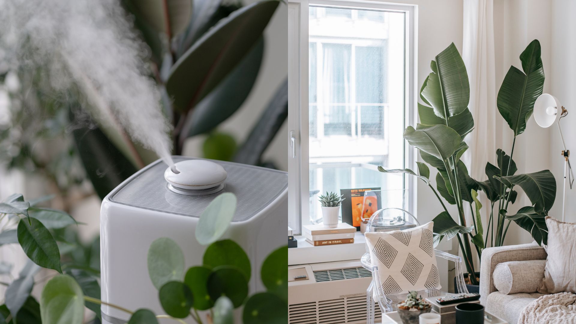 3 Tips To Help You Protect Houseplants From Central Heating