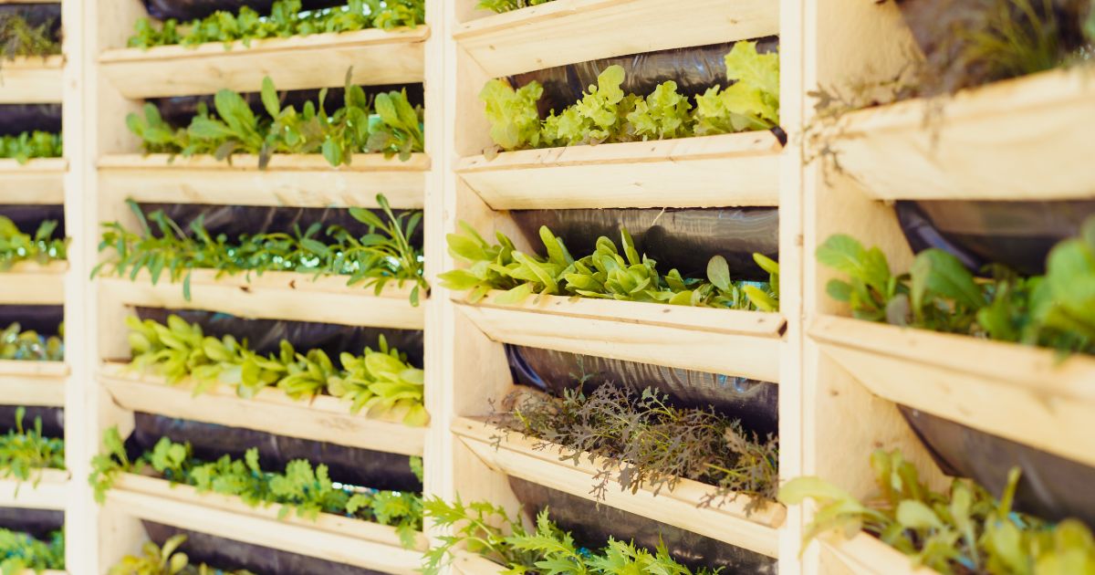 6 Easy Steps For Creating A Vertical Herb Garden In Your Kitchen