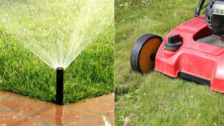 things not to do to lawn