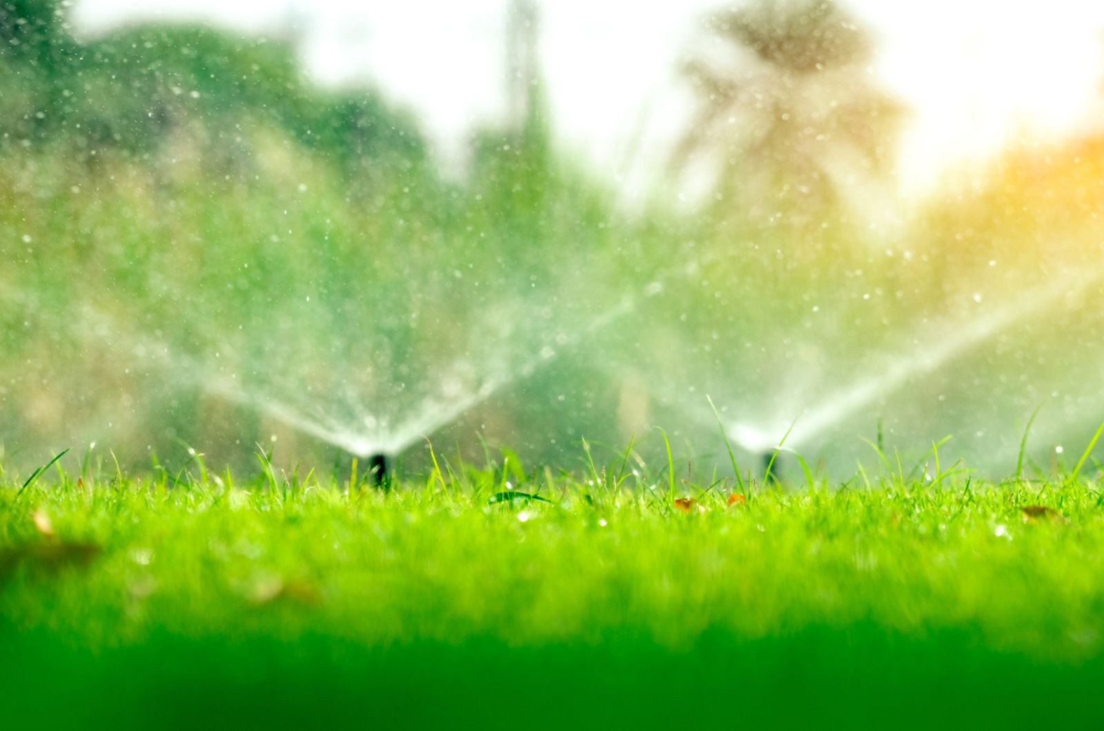 Automatic lawn sprinkler watering green grass